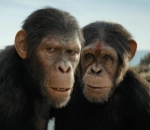 'Apes' Roam Venice Beach for 'Kingdom of the Planet of the Apes' Promo