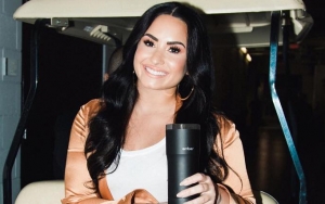 Demi Lovato Proudly Shows Off Cellulite, Stretch Marks and 'Extra Fat' in Touching Instagram Snaps