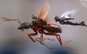 'Ant-Man and the Wasp' Releases New Images and Story Details