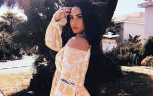 Demi Lovato Hits Back at Haters on Twitter