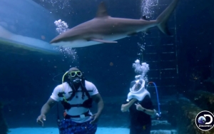 Watch Shaquille O'Neal Defy Death Amid Shark Attack