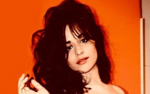 Camila Cabello Warns Fans Not to Be Crazy Over Pregnancy Speculation