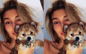 Fans Enraged After Hailey Baldwin Shares Video of Her 'Toy'-ing Her Dog