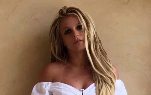 Britney Spears Makes It Clear She Holds Control Over Social Media Accounts