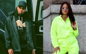 Chris Brown's Ex Ammika Harris Claps Back After Accused of Hiding Her 'Baby Bump'