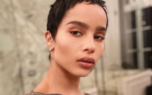 Zoe Kravitz Checks a Troll Accusing Her of Doing Something to Her 'Natural' Lips: She Is Black!
