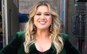 Kelly Clarkson to Troll Shaming Her for Failed Marriage: 'Aim Higher Please'