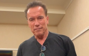 Arnold Schwarzenegger Heading to TV With Spy Series 