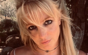 Britney Spears Reminds Each Person Has Their Story After Airing of Controversial Documentary