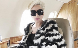 Lady GaGa Offers $500K Reward After Dogs Were Stolen and Caregiver Was Gunned Down