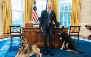 Joe Biden's Dogs Removed From White House After Reported 'Biting Incident'