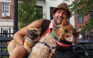 Lady GaGa's Dog Walker in Limbo as He Struggles to Care for Pooches After Near-Fatal Incident