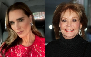 Brooke Shields Slams 'Maddening' Interview With Barbara Walters About Her Calvin Klein Campaign