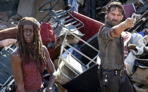 Andrew Lincoln and Danai Gurira to Star in Limited Series After 'The Walking Dead' Movie Is Scrapped