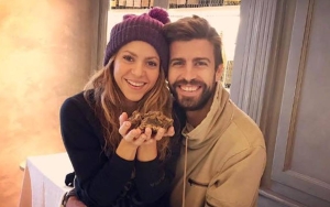 Shakira Erecting Wall in Barcelona Property to Separate Her From Gerard Pique's Family
