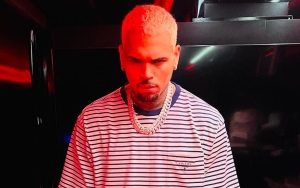 Fans Lust After Chris Brown After He Gives One Fan Lap Dance Onstage