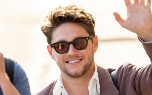 Niall Horan Says He's So Used to Getting Asked for Selfies at Toilet