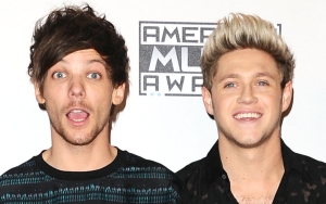 Niall Horan Asks for Louis Tomlinson's 'Honest Opinion' on New Album 'The Show'