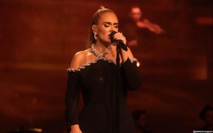 'Furious' Adele Slams Security for Bothering a Fan at Her Las Vegas Show