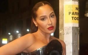 Adrienne Bailon Claims She and Husband Israel Houghton Spent More Than $1M on IVF Treatments