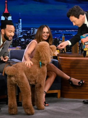 Chrissy Teigen and John Legend Bring Dogs on 'Tonight Show'