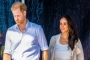 Prince Harry and Meghan Markle Solve Archewell Foundation Problems After Declared 'Delinquent'