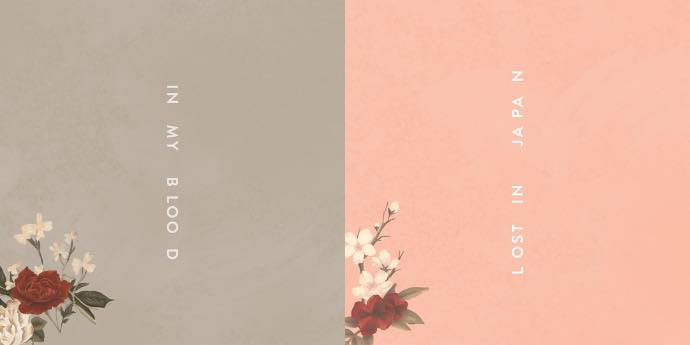 Shawn Mendes Drops Second Track in a Row, 'Lost In Japan'