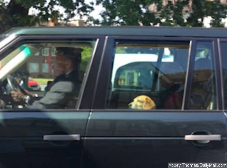 Meghan Markle's Dog Accompanied Queen Elizabeth II on a Ride to Windsor