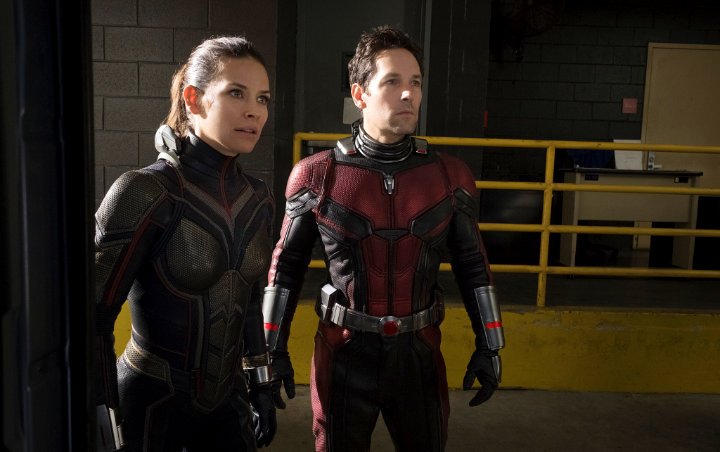 'Ant-Man and the Wasp' Two Post-Credits Scenes Show the Dire Aftermath of 'Avengers: Infinity War'