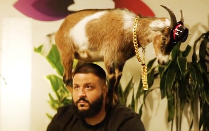 Watch: DJ Khaled Tries Goat Yoga in New Bumbu Rum Commercial Ads