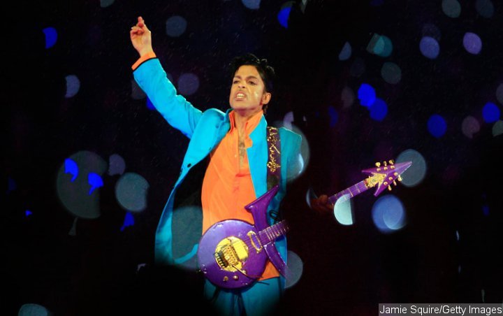 Prince at Super Bowl XLI
