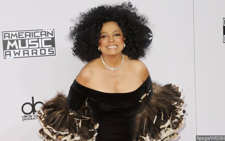 Diana Ross Kicks Fan Poking Her in Stomach Out of Surprise Concert