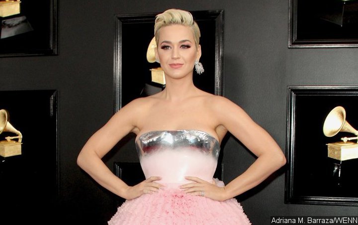Katy Perry to Be Honored at 2019 DVF Awards for Humanitarian Work