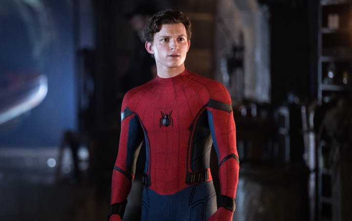 Tom Holland's Approval for Gay Spider-Man Opposed by Fans