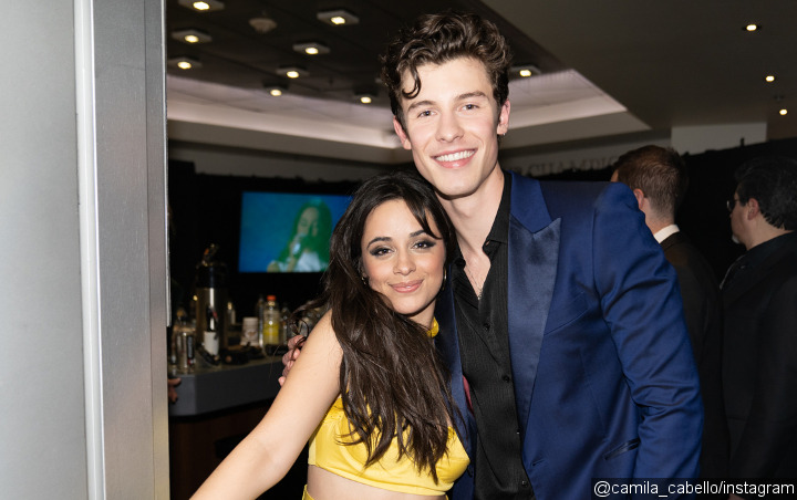 Shawn Mendes Thrills Camila Cabello With Dedication Song at New York Concert