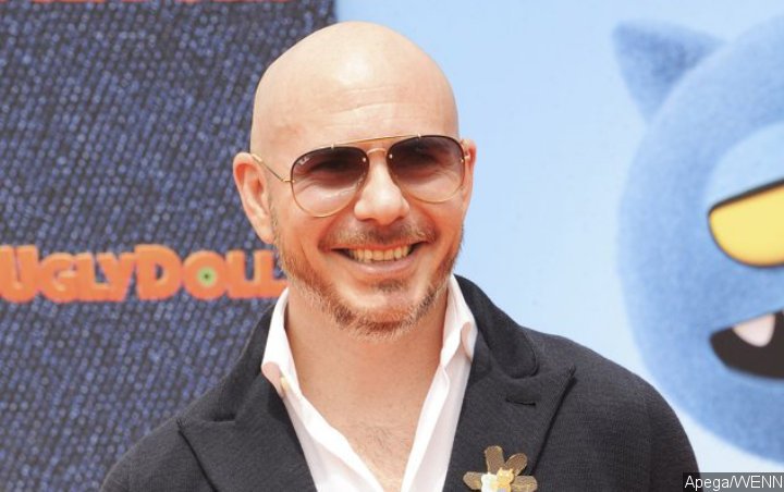 Pitbull