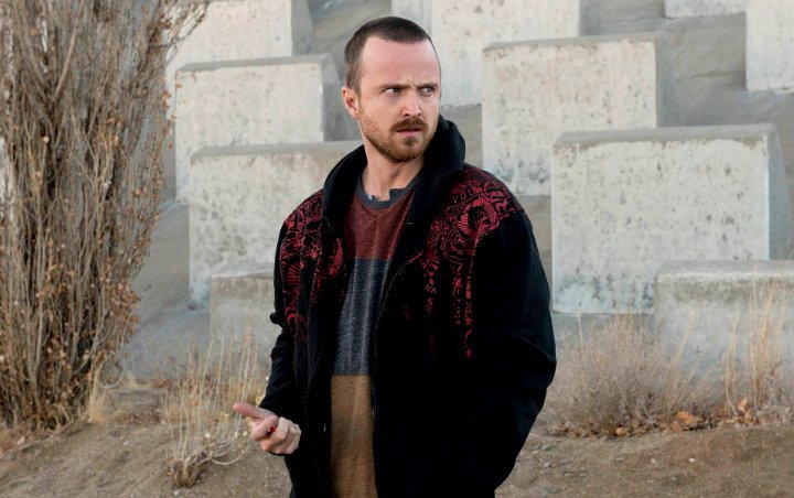Aaron Paul Spills No One Wanted Him for 'Breaking Bad'