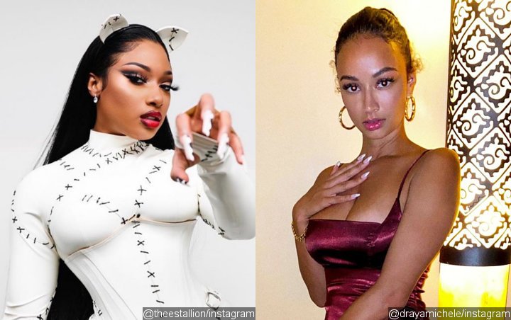 Megan Thee Stallion Calls Draya Michele 'Dumb B***h' for Joking About Her Getting Shot