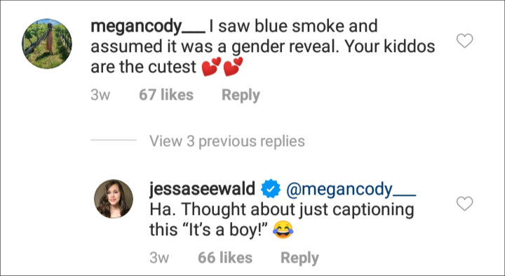 Jessa Duggar's IG comment
