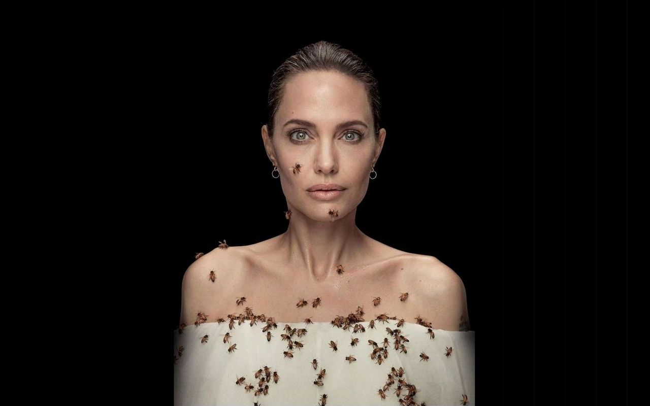 Angelina Jolie Didn't Shower for Three Days to Avoid Getting Stung in Bee Photoshoot 