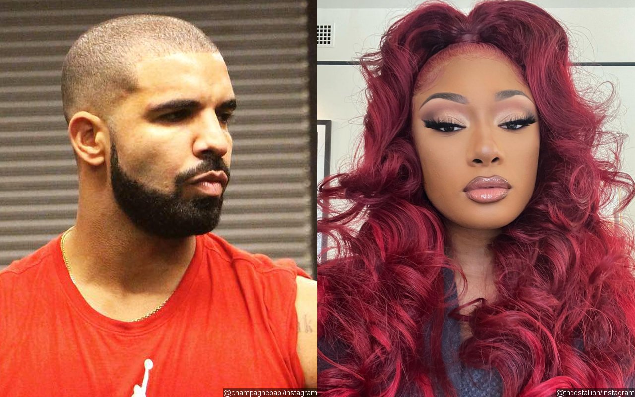 Drake May Not Diss Megan Thee Stallion as Research Shows He Appears to Mock Another Stallion