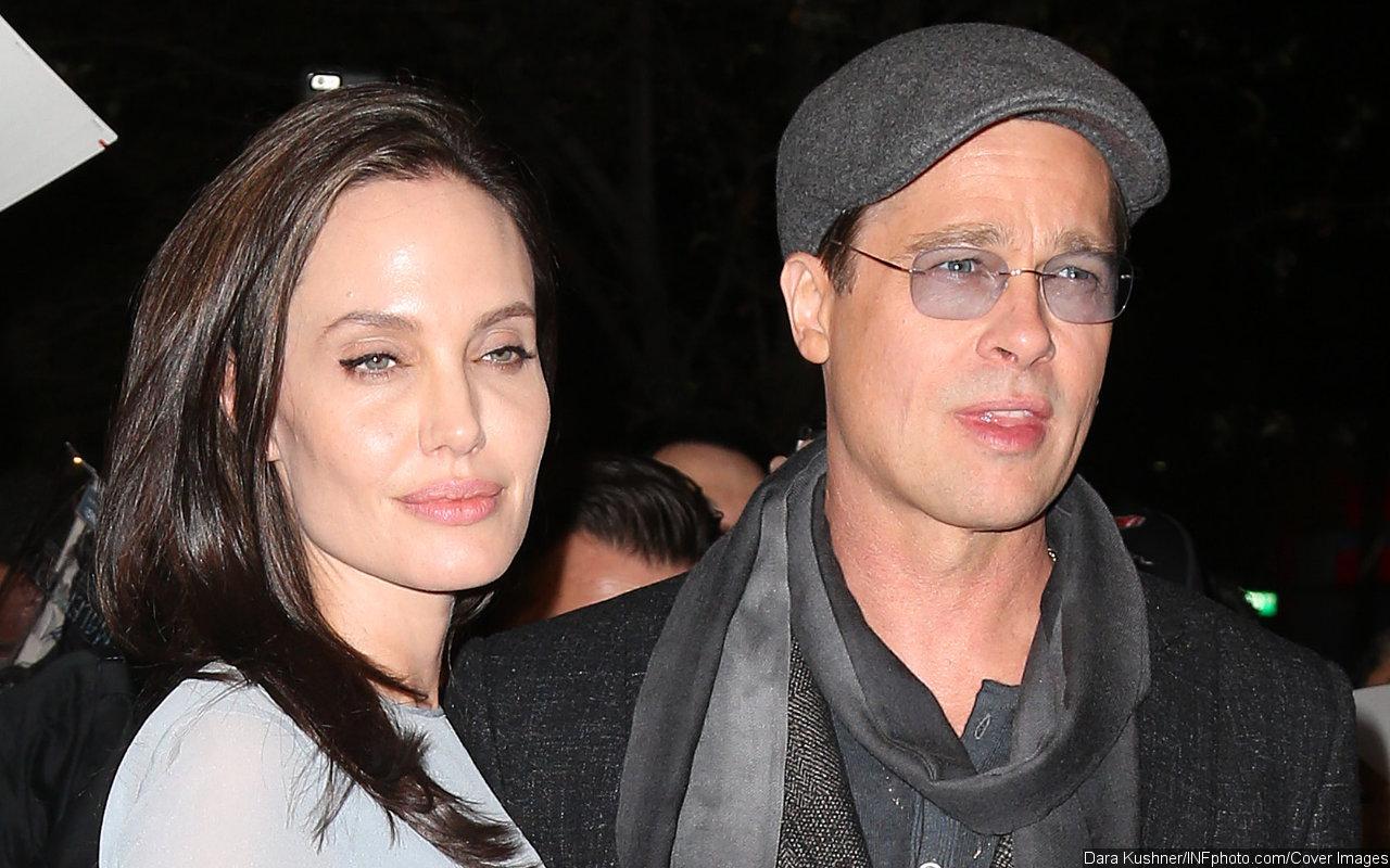 Angelina Jolie Slams Brad Pitt's 'Ludicrous' Claim of Building Their French Wine Business