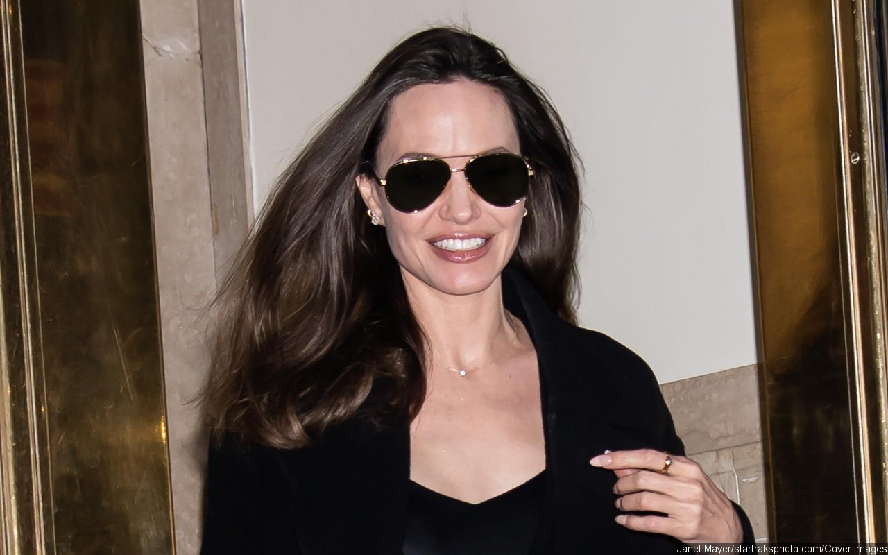 Angelina Jolie Wants to Date Someone Up to Her 'Impossibly High' Standards