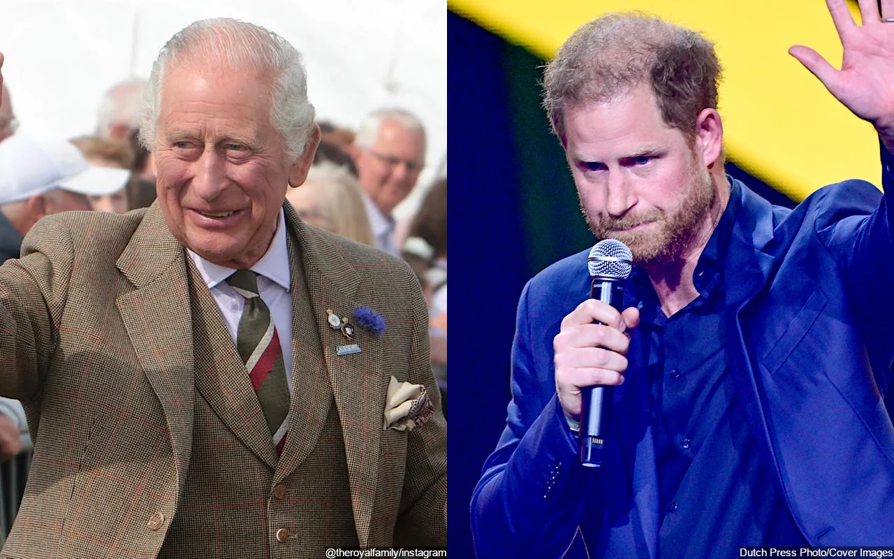 King Charles Smiling After 'Warm Conversation' With Prince Harry Amid Cancer Battle