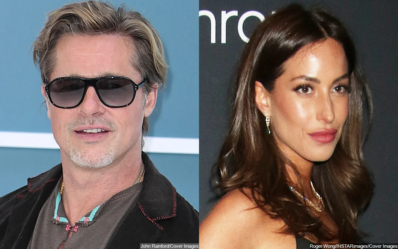 Brad Pitt Has 'Found His Spark' Again With Ines de Ramon