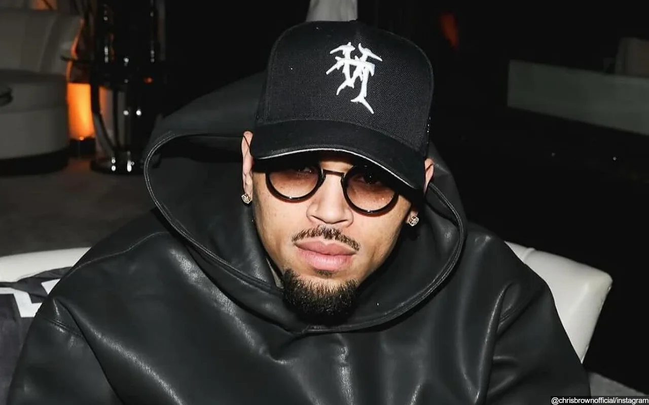 Chris Brown Likens Himself to Adult Film Star, Claims It's 'Fun' to Date Him