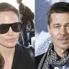 Angelina Jolie Loses Her Team's Trust Amid Brad Pitt Custody War
