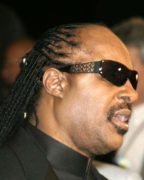 Stevie Wonder<br>35th Annual Songwriters Hall of Fame Awards