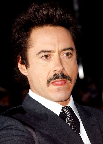 Robert Downey Jr.<br>Tropic Thunder Los Angeles Premiere - Arrivals