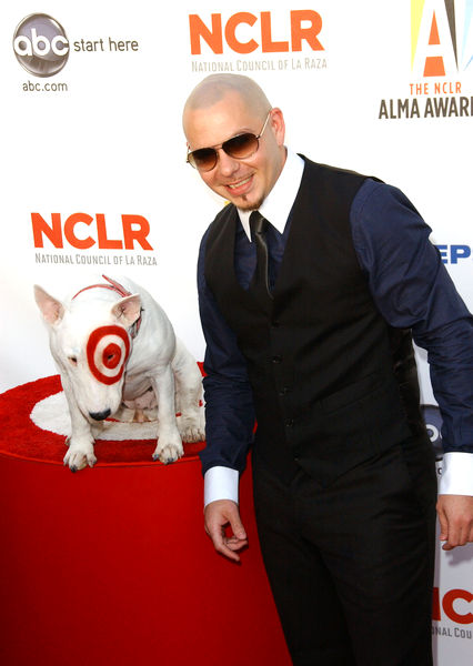 Pitbull<br>2009 NCLR ALMA Awards - Arrivals